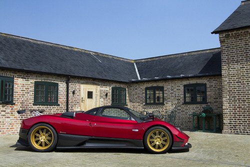 alexpenfold:  Red & Gold. on Flickr.