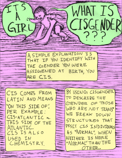 xxboy:  This is swell! pussy-envy:  just a quick break down of what cis means - if anything is incorrect hit me up  