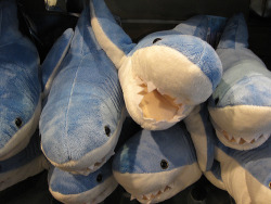 shaaarks:  I have one that kind of looks like this.  You can never have too many sharks
