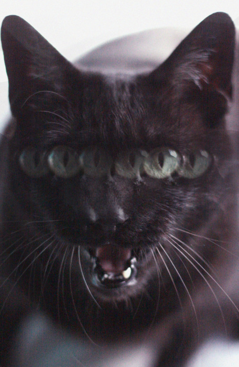 muhnbeam.tumblr.com/post/24388749035/