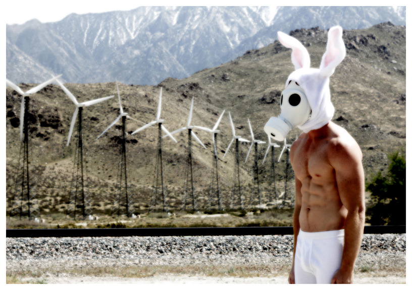  Toxic Bunny - Palm Springs, California - 2012 Alexander Guerra AlexanderGuerra.com