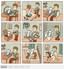 9gag:  Cats like to sit. At all. 