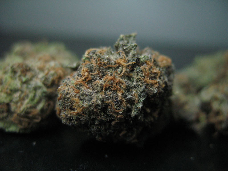 thatsgoodweed:  indica always 
