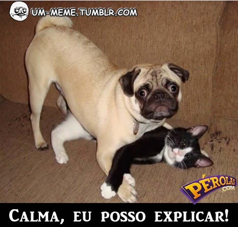 um-meme:  KKKKKKK