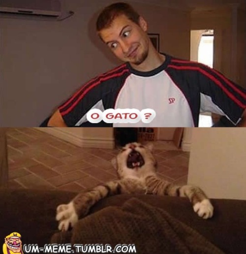 um-meme:  K 