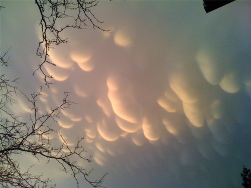 Mammatus clouds