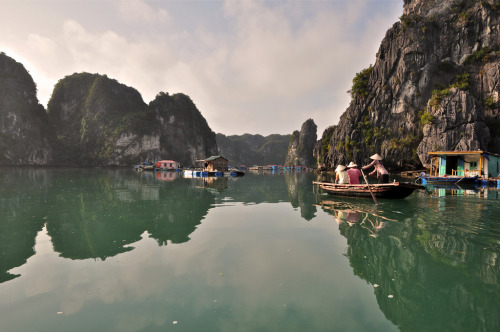 Sheltered Bay (by AngelKwan32)Ha Long, Vietnam