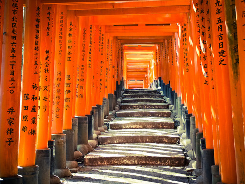Fushimi Inari-taisha on Flickr.