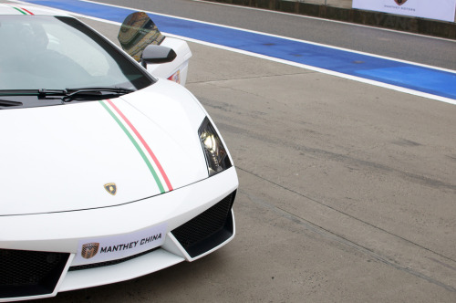 automotivated - LP 550-2 Tricolore (by yang0302)