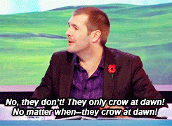 lord-tennant:  David Tennant on Ask Rhod Gilbert - Cockerels crow whenever they feel