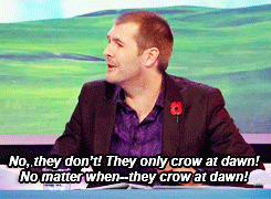 badlywolf:  David Tennant on Ask Rhod Gilbert - Cockerels crow whenever they feel like it pt. 2/3