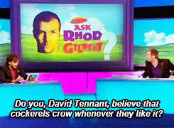 badlywolf:  David Tennant on Ask Rhod Gilbert - Cockerels crow whenever they feel like it pt. 2/3