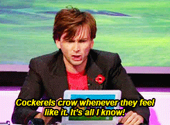 badlywolf:  David Tennant on Ask Rhod Gilbert - Cockerels crow whenever they feel like it pt. 2/3