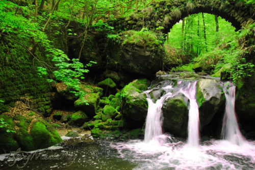 bluepueblo:  Arch Waterfall, Luxembourg photo via euphoria 