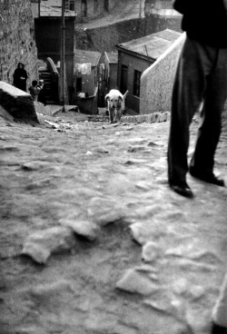 m3zzaluna:  valparaíso, chile, 1963 [original] © sergio larrain/ magnum photos, from magnum magnum