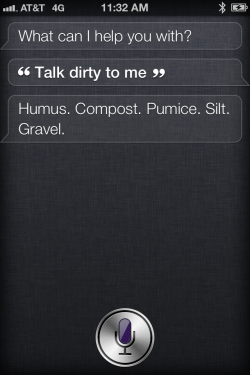 Siri Is A Prude.
