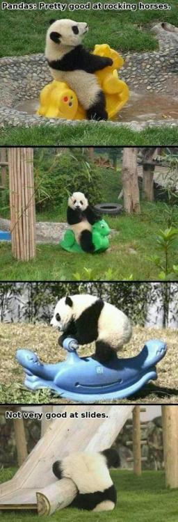 the-absolute-funniest-posts:  Follow this blog, you will love it on your dashboard