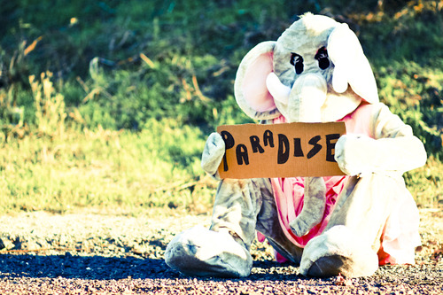 Wanderlust