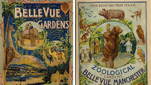 Vintage zoo pamphlets feature now-extinct animals, odd exhibits
The materials show how zoos have changed from the amusement park attractions to the institutions focused on education and conservation of today.