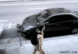 allstarslovers:  KKKKKKKKKKKKKKKKKKKKKKKKKKKKKKKKKKK me filmaram indo pra escola