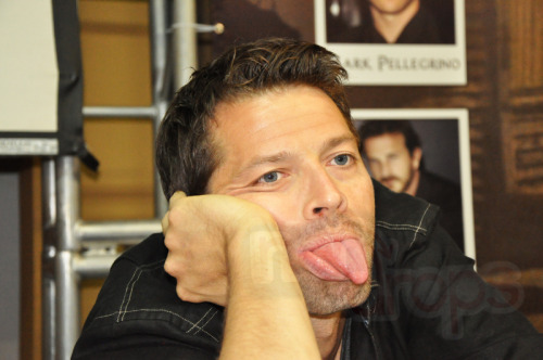 panhomarek:`cause today is the Misha Day. Yay! he is just adorable. and had a warm, full o