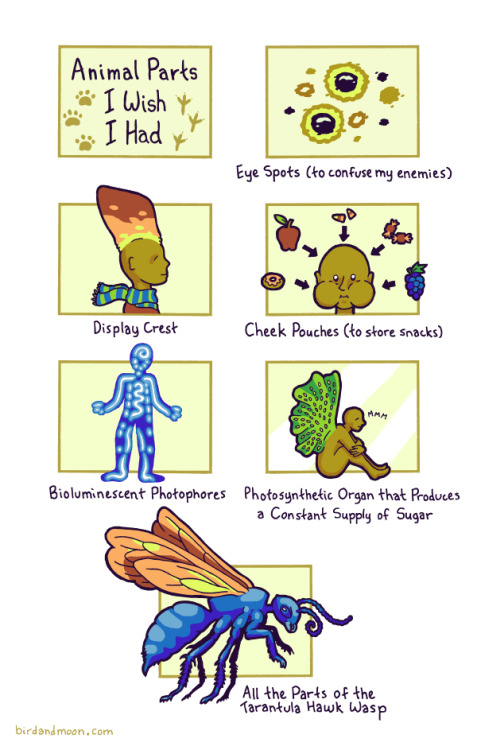 jephjacques:  ryannorth:  birdandmoon:  I had some medical trouble this week that had me dreaming of upgrading my model. The photosynthetic critter is based on the sea slug Elysia chlorotica.  This is awesome and I agree 100%  Rosemary is the best, the