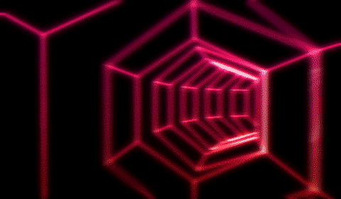 surrogateself:  It will distort your brain… 