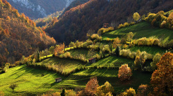 bluepueblo:  Mountain Meadows, Asturias,