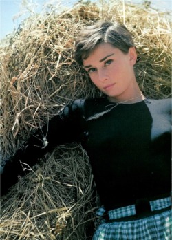 jeanjeanie61:  Audrey Hepburn http://tieba.baidu.com