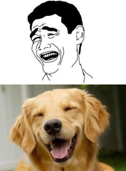 laweawena:  el ultimo perro csm xDDDD moriiii csm xDDD  