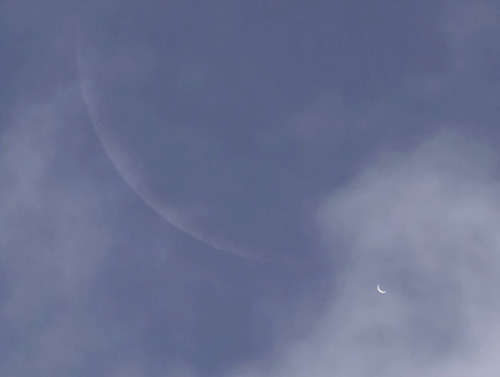  Moon and Venus in the early morning hours. 