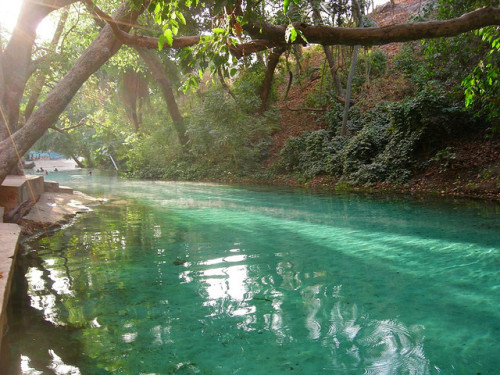 Wikki Warm Spring in Yankari National Park, Nigeria (by Fono).