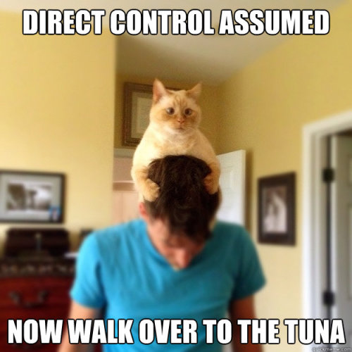 most-awkward-moments:  if you’re human or cat, you’re gonna love this blog.