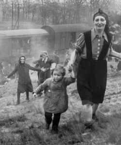 collective-history:  Jewish refugees, approaching