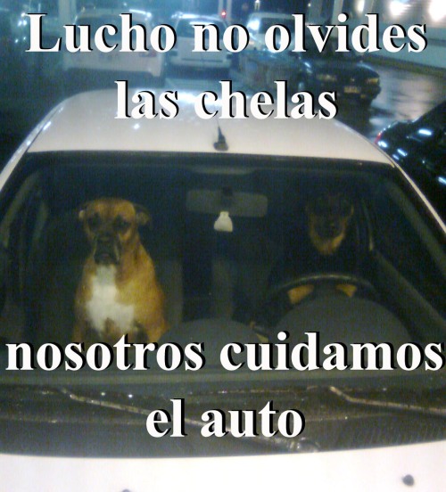 jaidefinichon:  Meanwhile in Lider Express Puerto Montt