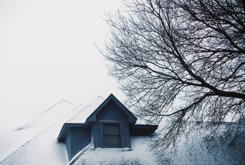 kknotted:Winter ’s Color. (by . Entrer dans le rêve)