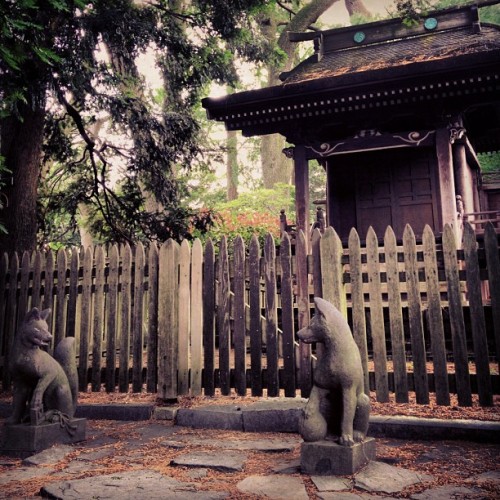Dedicated to Inari, the God of harvest, protector of plants. (Taken with Instagram at Japanese Hill-