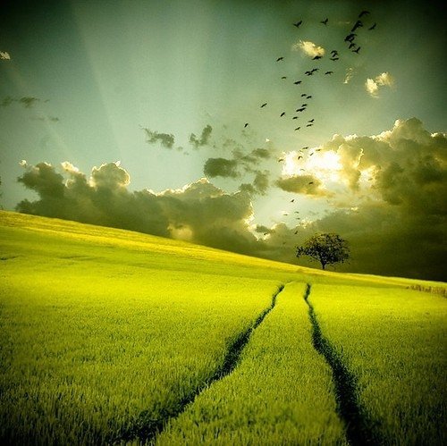 guapofulltime:  I will always be a country boy at heart……       GuapoFullTime.XXX