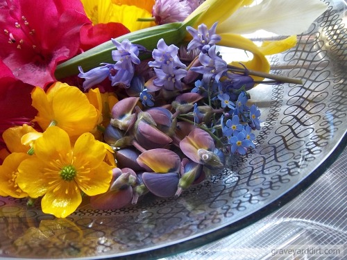 graveyarddirt: May’s Flowers, by Ms. Graveyard Dirt (I & II) Azaleas, bluebells, buttercups, chi