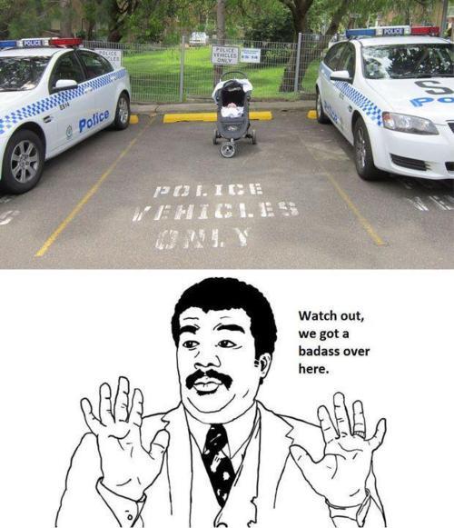 the-absolute-funniest-posts:  Follow this blog, you will love it on your dashboard