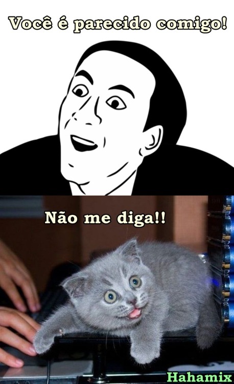 XD