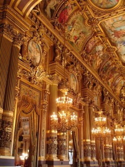 Fuses:  Vivrearia: Paris Opera 