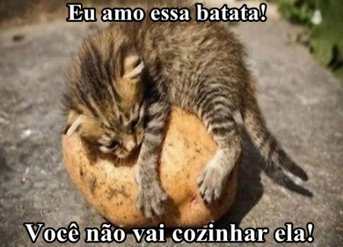 Animes, mangas, humor, nature!!