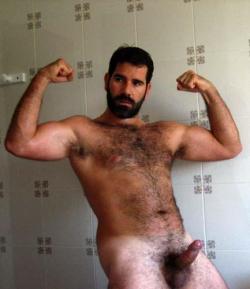 Solo Gay Bears Pictures