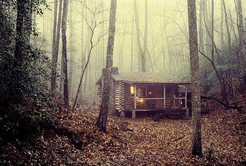 ostwind:  musicallymaniacal:  looks like where cabin fever was filmed O_O  I wish