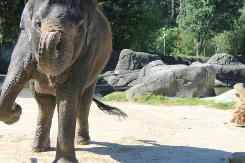 hakuna-kid:  hakuna-kid:  (via imgTumble)  (via imgTumble)