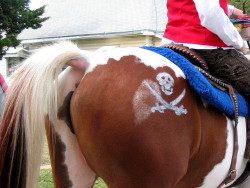 Pirate Horse Butt! by skullymom13 on Flickr. i just really love the bare underside of horses&rsquo; tails. This picture is a good example showing why i draw my pony tails the way i do. Also, cool cutie mark XD