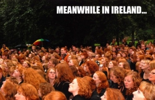 mmmmredheads:  flights to ireland….oops, meant to put that in google