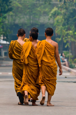 dr0gon:  Buddhist monks walking, Wat Chedi