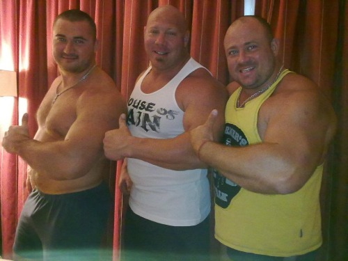 Muscle Bulls